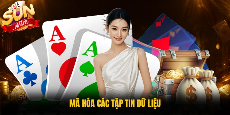 Mã hóa các tập tin dữ liệu